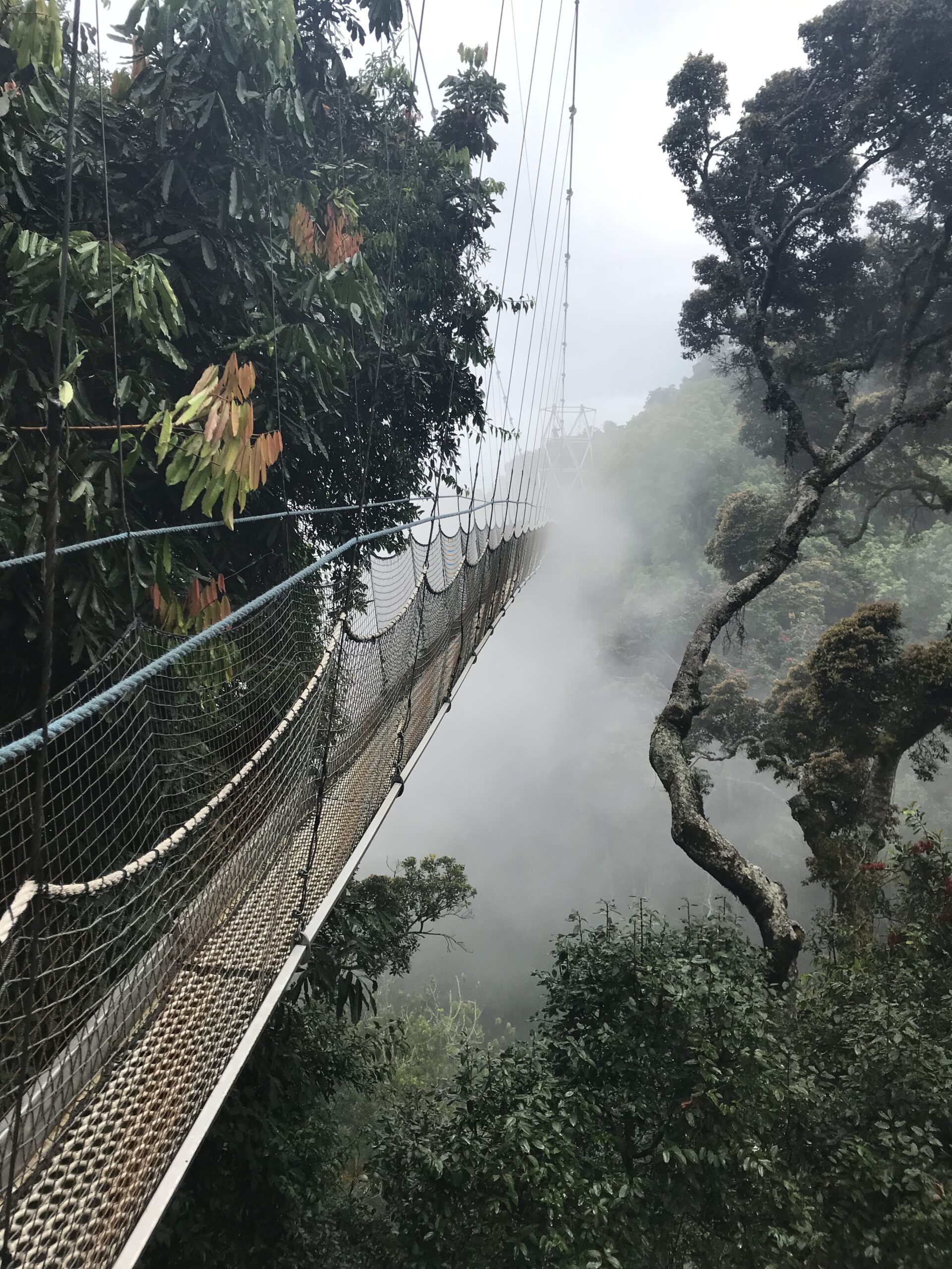 JJL-50518_2271-scaled